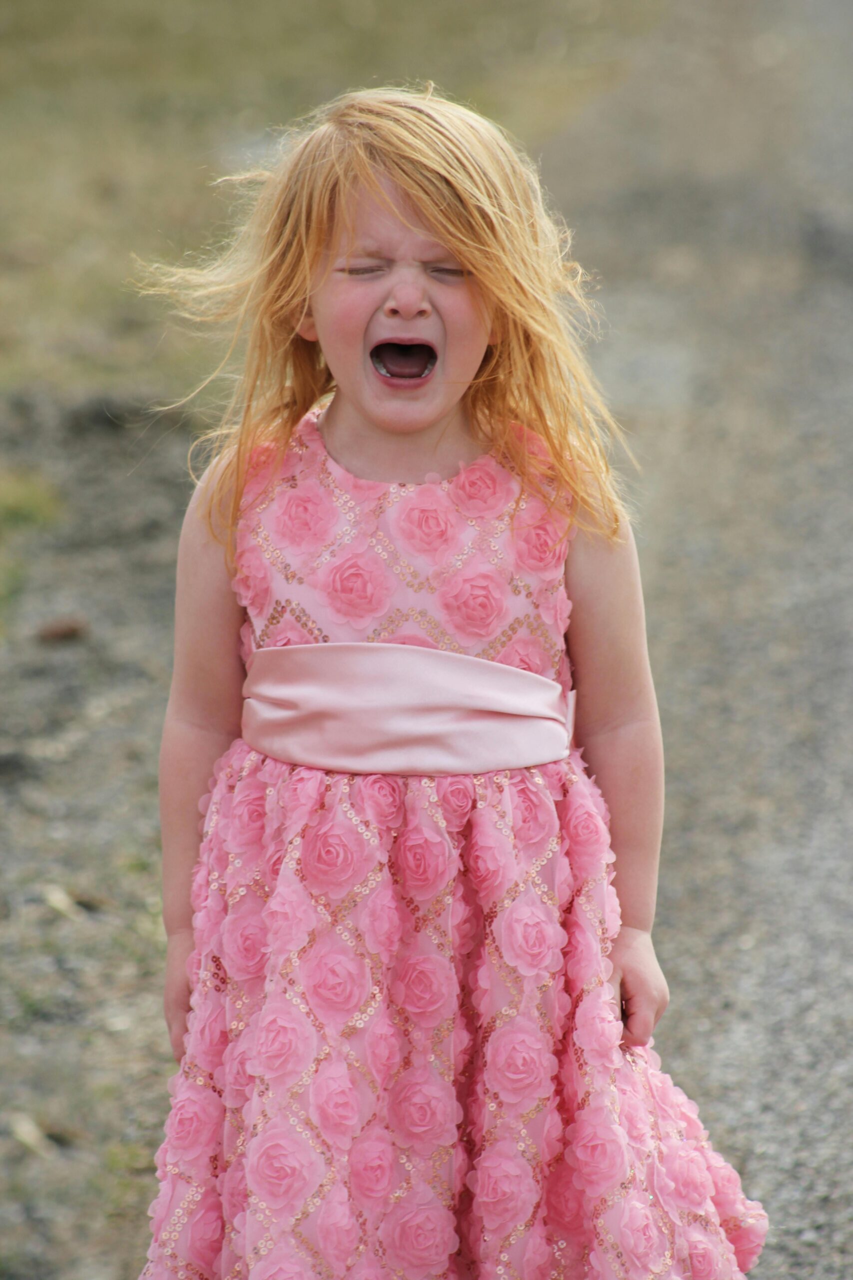 My 5-Year-Old Niece Drew a Strange Picture – I Thought She Revealed a Huge Secret, but the Reality Made Our Whole Family Cry