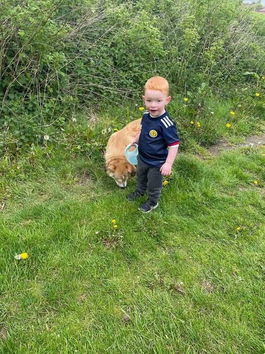 4-Year-Old Boy Left behind by Nursery Staff at Wildlife Park during Trip