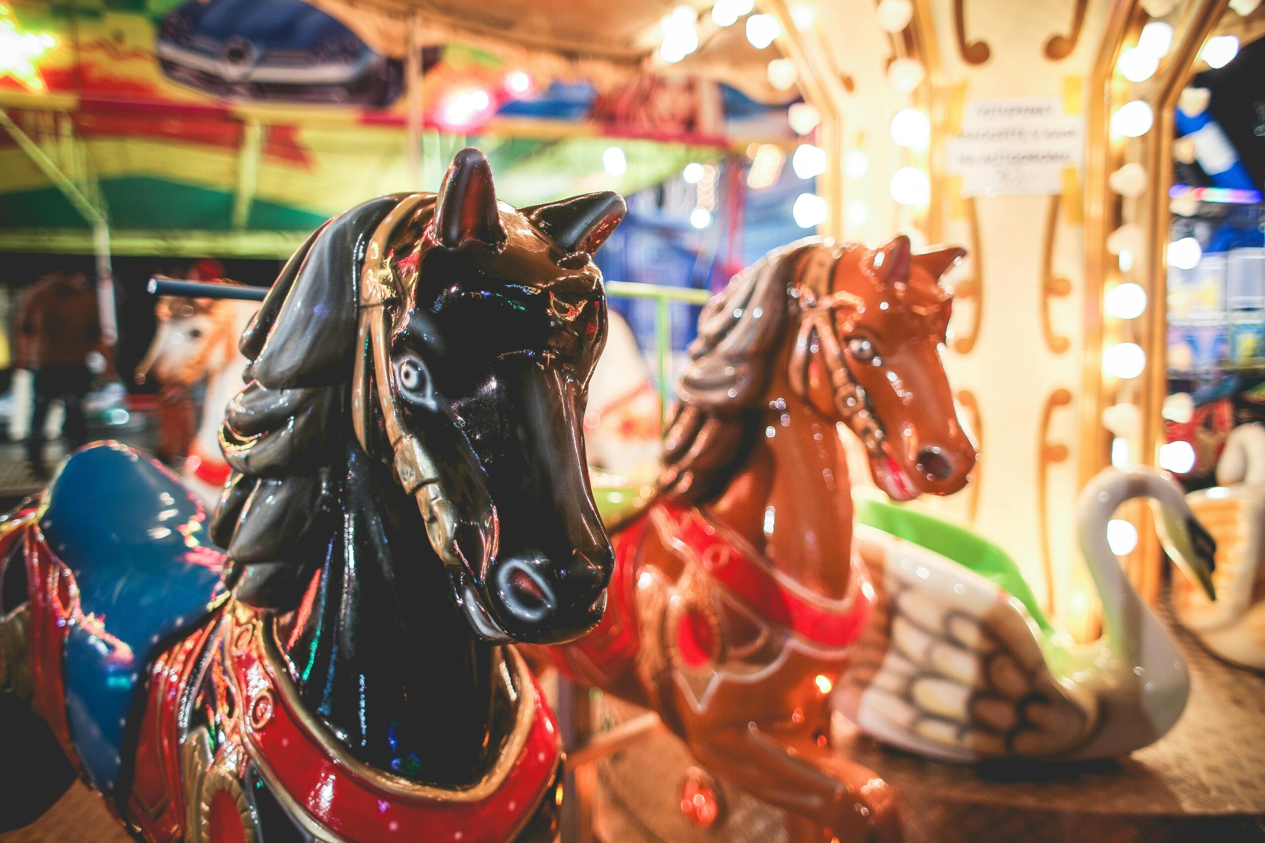 Carousel | Source: Pexels