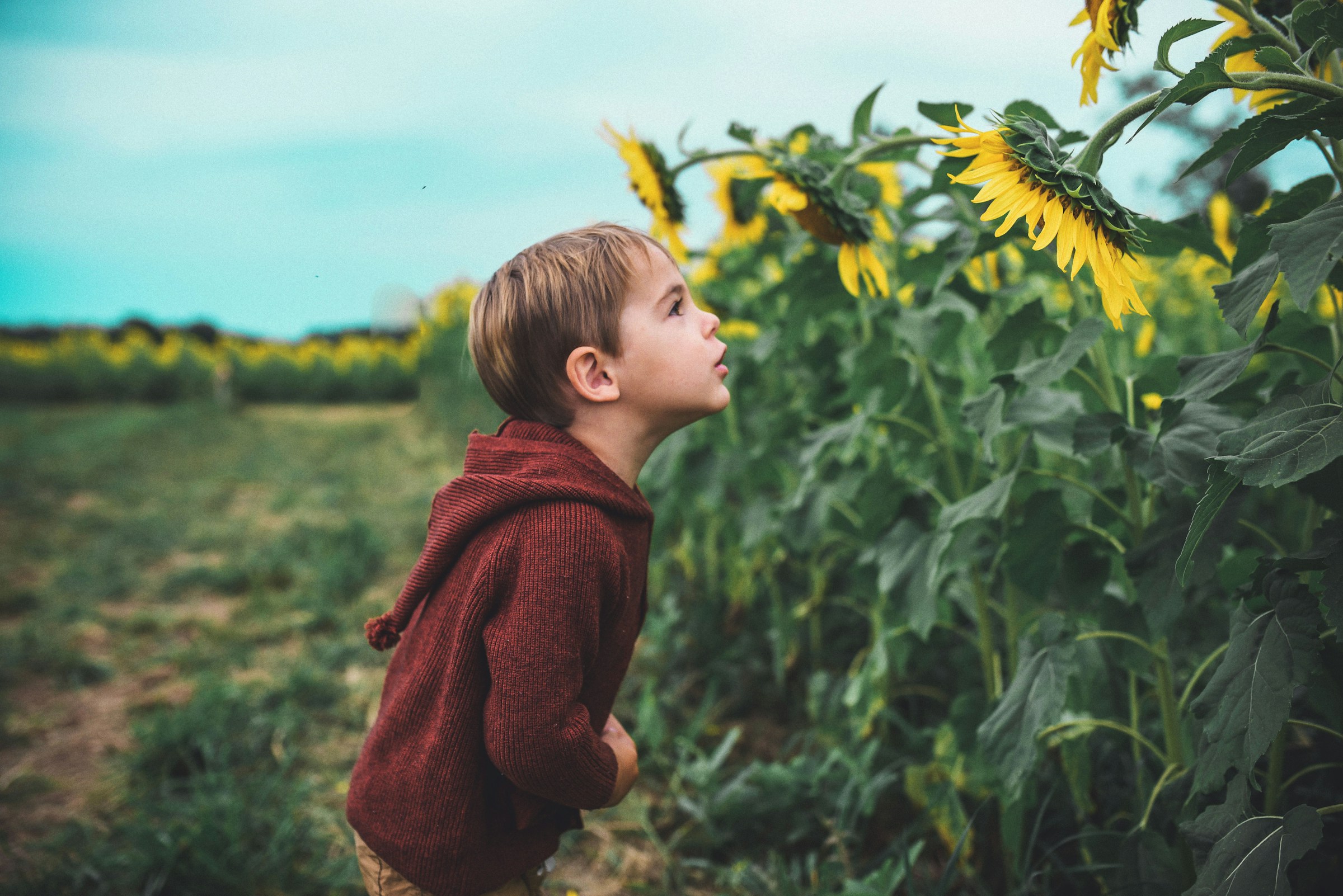 My Entitled Daughter-in-Law Demanded That I Retire – My Son Gave Her a Reality Check