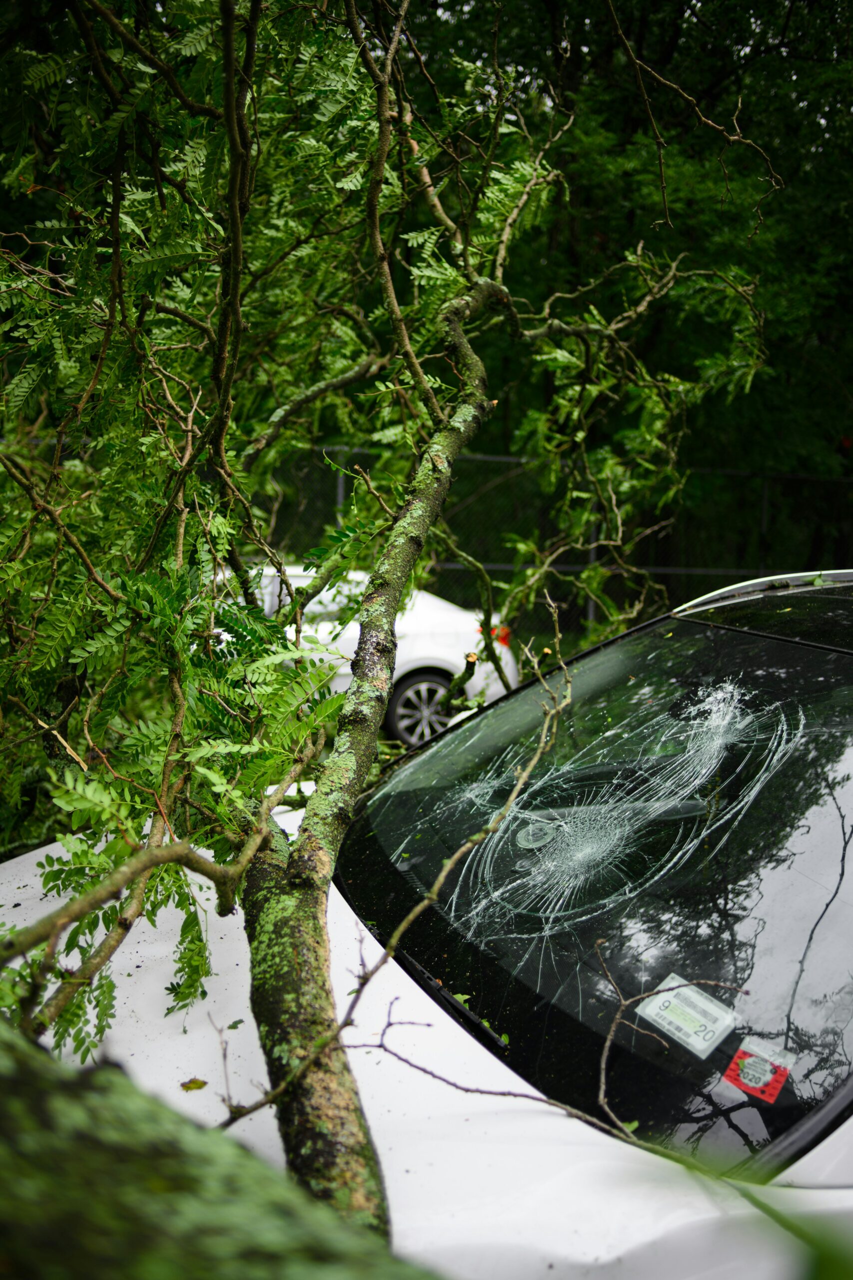 A car accident | Source: Unsplash