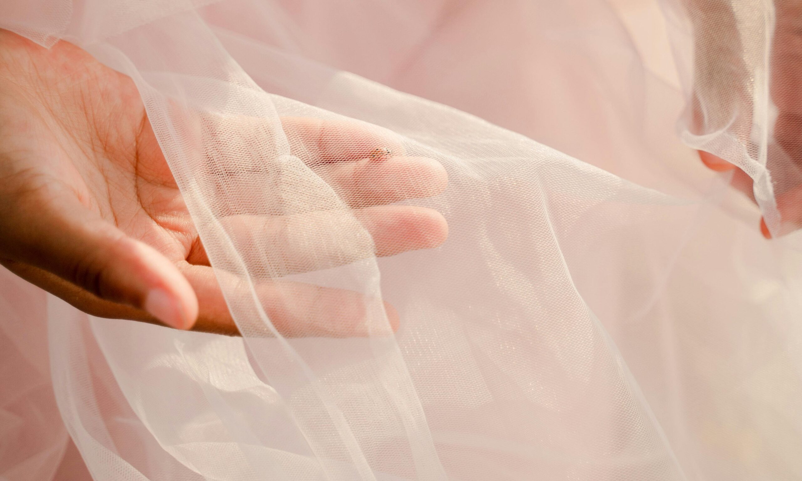 Bride Demands Her Bridesmaids Pay for Their Dresses She Bought for the Ceremony, but Karma Immediately Strikes Back